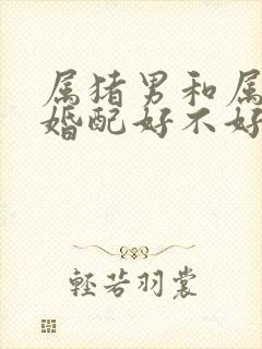 属猪男和属龙女婚配好不好