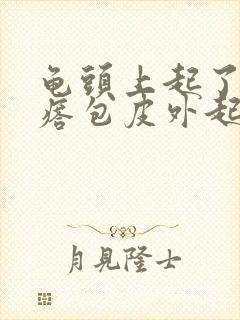 龟头上起了小疙瘩包皮外起水泡封面