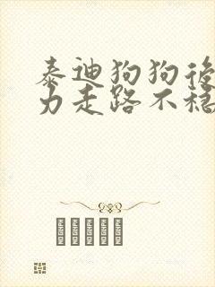 泰迪狗狗后腿无力走路不稳