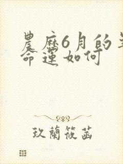 农历6月的羊女命运如何