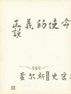 正义的使命 小说封面