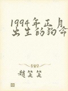 1994年正月出生的狗命运封面