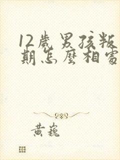 12岁男孩叛逆期怎么相处