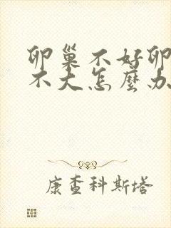 卵巢不好卵泡长不大怎么办