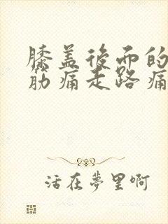 膝盖后面的腿窝筋痛走路痛不走不痛