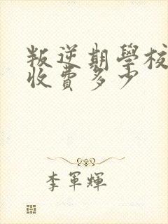 叛逆期学校学费收费多少