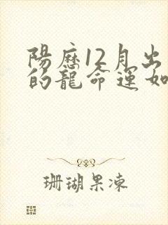 阳历12月出生的龙命运如何