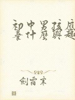 初中男孩应该培养什么兴趣爱好