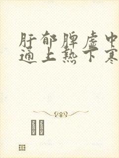 肝郁脾虚中焦不通上热下寒