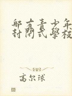 哪有青少年叛逆封闭式学校封面