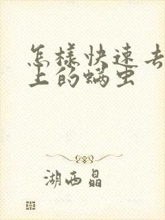 怎样快速去除床上的螨虫