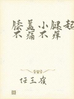 膝盖小腿起红点不痛不痒封面