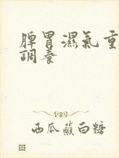 脾胃湿气重如何调养