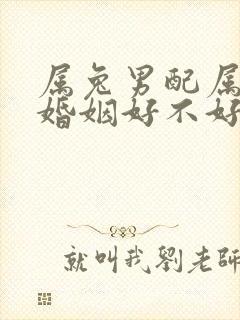 属兔男配属龙女婚姻好不好