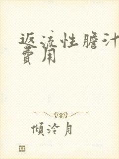 返流性胆汁胃炎费用