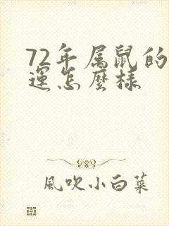 72年属鼠的命运怎么样