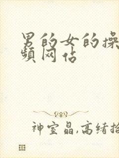 男的女的操的视频网站