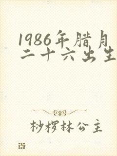 1986年腊月二十六出生是什么命