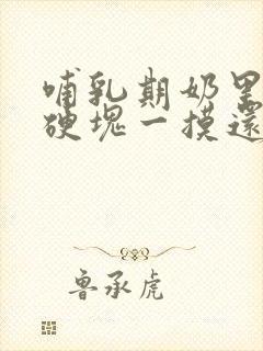 哺乳期奶里面有硬块一摸还痛怎么办