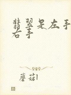 翡翠是左手还是右手封面