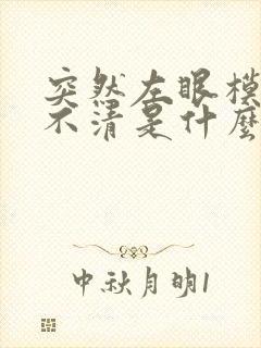 突然左眼模糊看不清是什么原因造成的