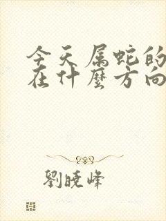 今天属蛇的财运在什么方向