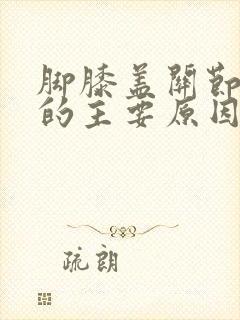 脚膝盖关节疼痛的主要原因有哪些