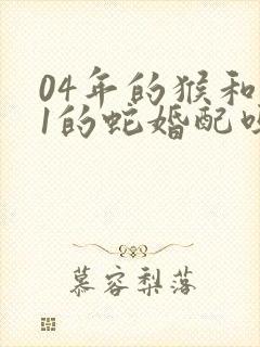 04年的猴和01的蛇婚配吗封面