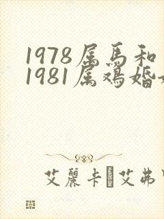 1978属马和1981属鸡婚姻怎样