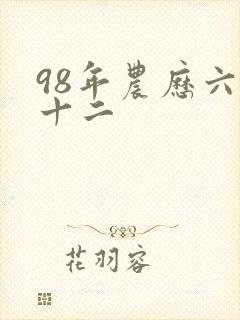 98年农历六月十二封面