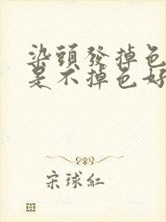 染头发掉色好还是不掉色好