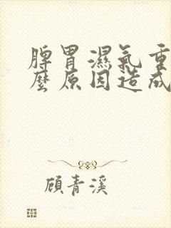 脾胃湿气重是什么原因造成的