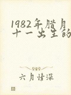 1982年腊月十一出生的命运