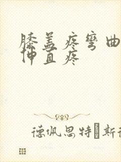 膝盖疼弯曲不疼伸直疼封面