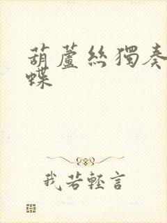 葫芦丝独奏曲化蝶