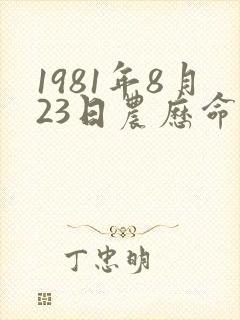 1981年8月23日农历命