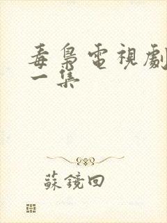 毒枭电视剧最新一集
