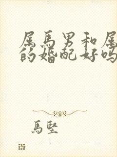 属马男和属鼠女的婚配好吗