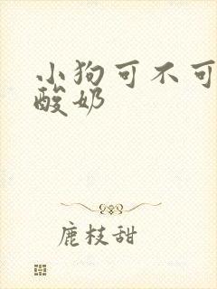 小狗可不可以喝酸奶