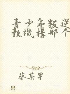 青少年叛逆期管教机构哪个好封面