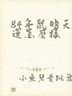 84年鼠明天财运怎么样封面
