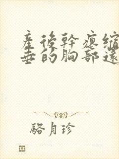 产后干瘪缩水下垂的胸部还有救吗封面