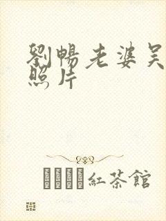 刘畅老婆吴子佳照片