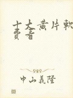 十大黄片软件免费看