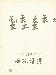 风象 火象 水象 土象