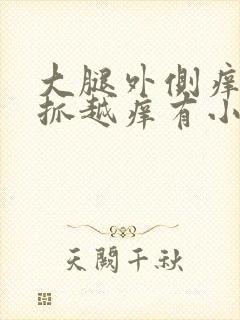 大腿外侧痒痒越抓越痒有小红疙瘩用什么药