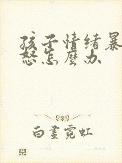 孩子情绪暴躁易怒怎么办封面