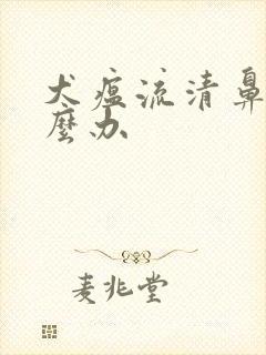 犬瘟流清鼻涕怎么办