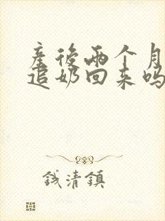 产后两个月还能追奶回来吗