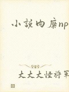 小说肉糜np
